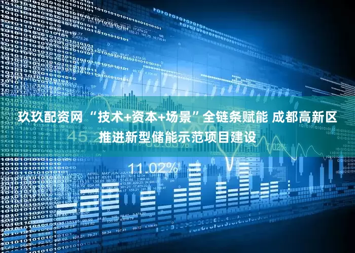 玖玖配资网 “技术+资本+场景”全链条赋能 成都高新区推进新型储能示范项目建设