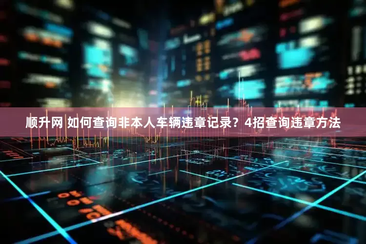 顺升网 如何查询非本人车辆违章记录？4招查询违章方法